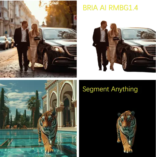 BRIA AI RMBG 1.4 vs Segment Anything | Background Removal