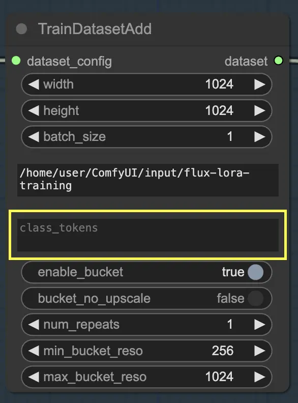 FLUX LoRA TrainDatasetAdd : Class Token